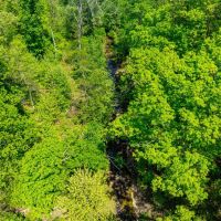 55 - ACRES Hunting Property or Home Place Imboden Arkansas Lawrence County images 5