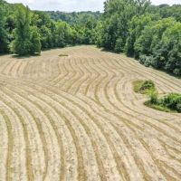3993 Brighton Bunker Hill Rd Brighton IL images 4
