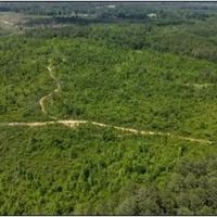 71.6 Acres in Scott County in Morton MS images 4