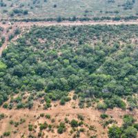 Plesanton Acreage images 3