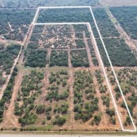 Plesanton Acreage images 4