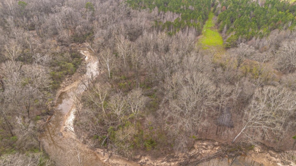 Timber and Hunting Near Jackson featured image