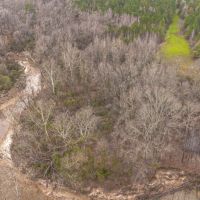 Timber and Hunting Near Jackson