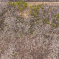 Timber and Hunting Near Jackson images 2