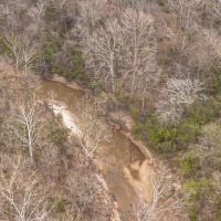 Timber and Hunting Near Jackson images 4