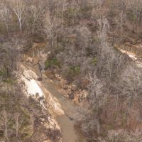 Timber and Hunting Near Jackson images 5