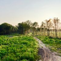 Big Brush Creek 273 - images 2