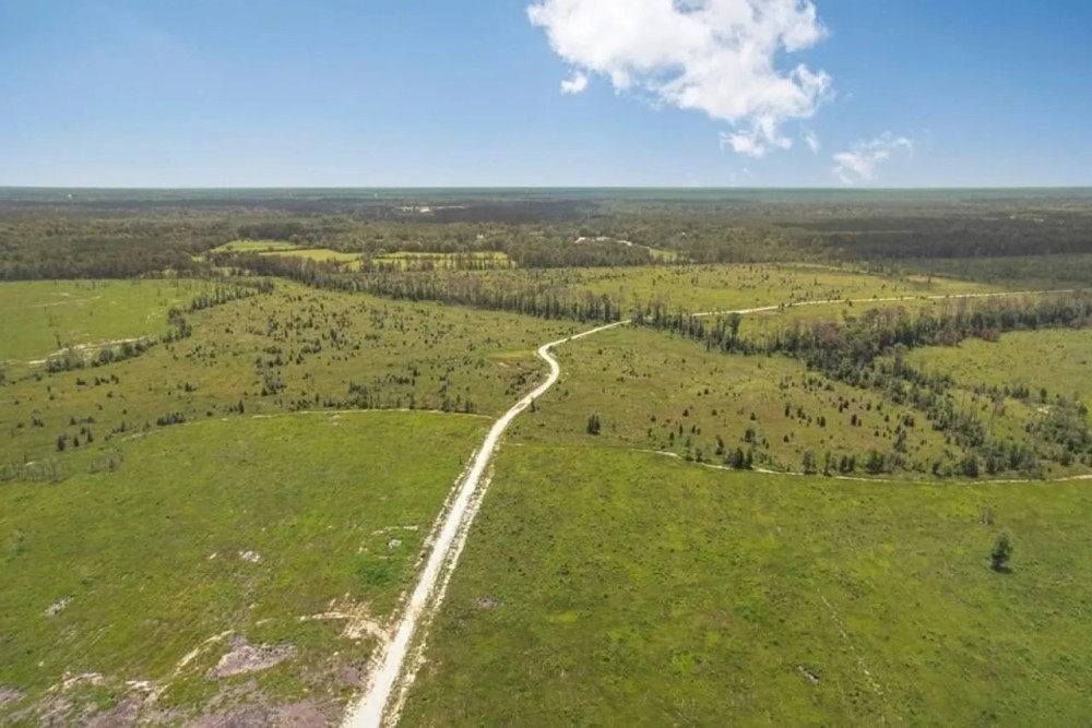 Land for Sale in Tangipahoa Parish LA. featured image