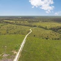 Land for Sale in Tangipahoa Parish LA.