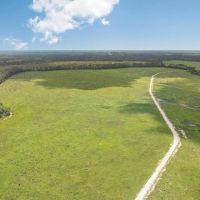 Land for Sale in Tangipahoa Parish LA. images 2