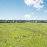 Land for Sale in Tangipahoa Parish LA. images 3