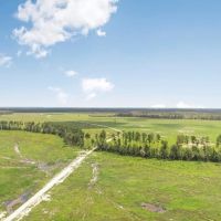 Land for Sale in Tangipahoa Parish LA. images 4