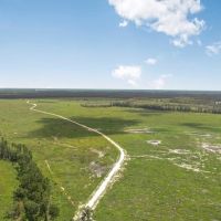 Land for Sale in Tangipahoa Parish LA. images 5