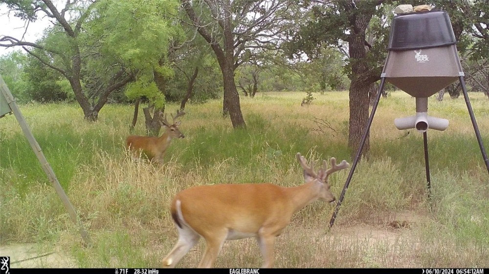 New Listing 161 - Acres Eastland County featured image