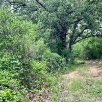 New Listing 161 - Acres Eastland County images 2