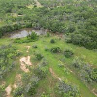 New Listing 161 - Acres Eastland County images 4