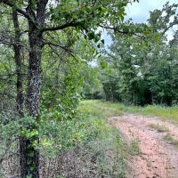 New Listing 161 - Acres Eastland County images 5