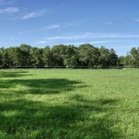 Located in Western Jackson County WI this 23.55 acres images 2