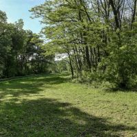 Located in Western Jackson County WI this 23.55 acres images 3