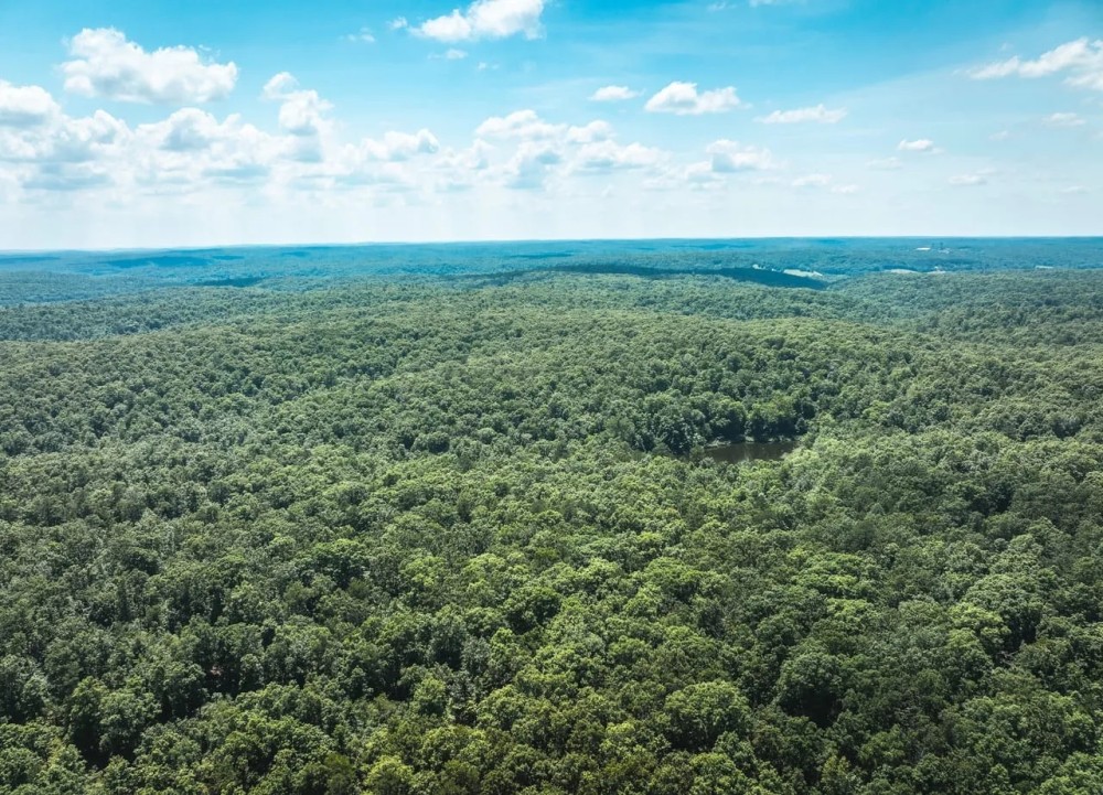 Stall Hollow Tract 6 featured image