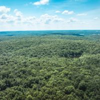 Stall Hollow Tract 6