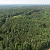 26.3 Acres in Choctaw County in Ackerman MS images 2