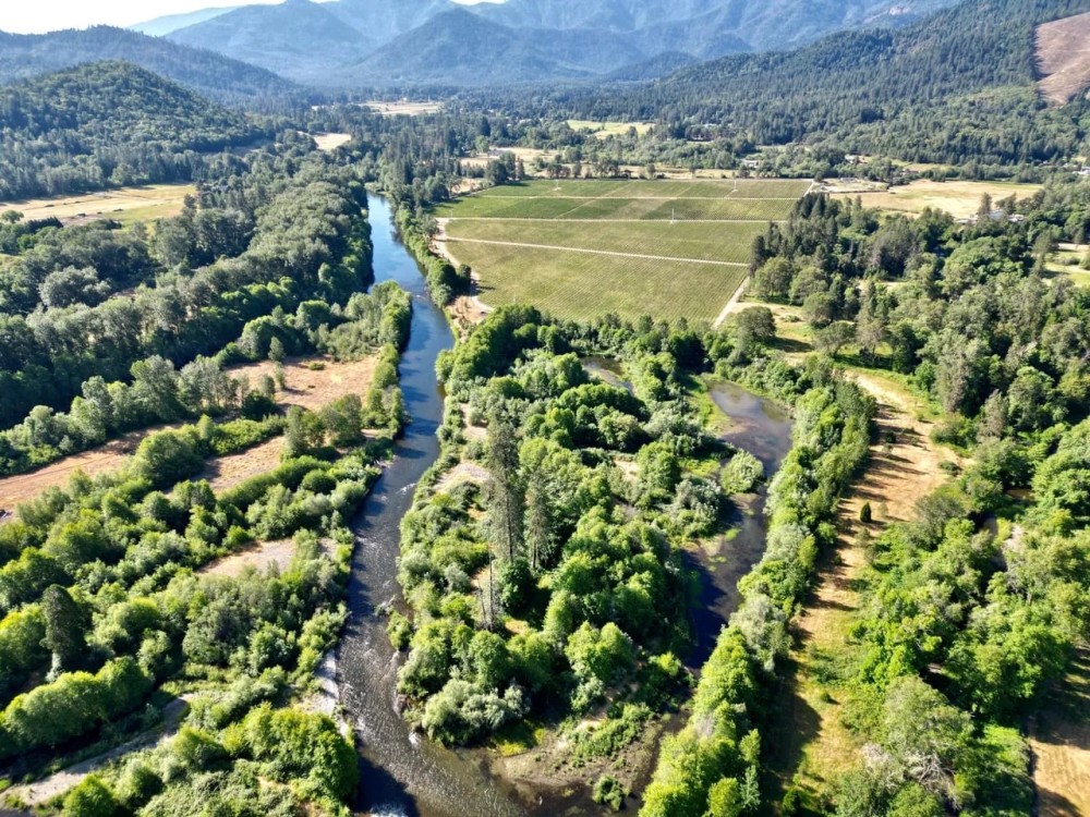 Pearl Vineyard on the Applegate River featured image