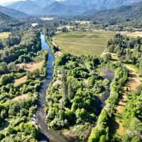 Pearl Vineyard on the Applegate River