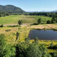 Pearl Vineyard on the Applegate River images 4