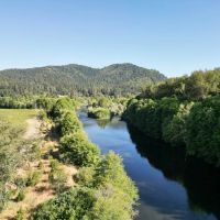 Pearl Vineyard on the Applegate River images 5