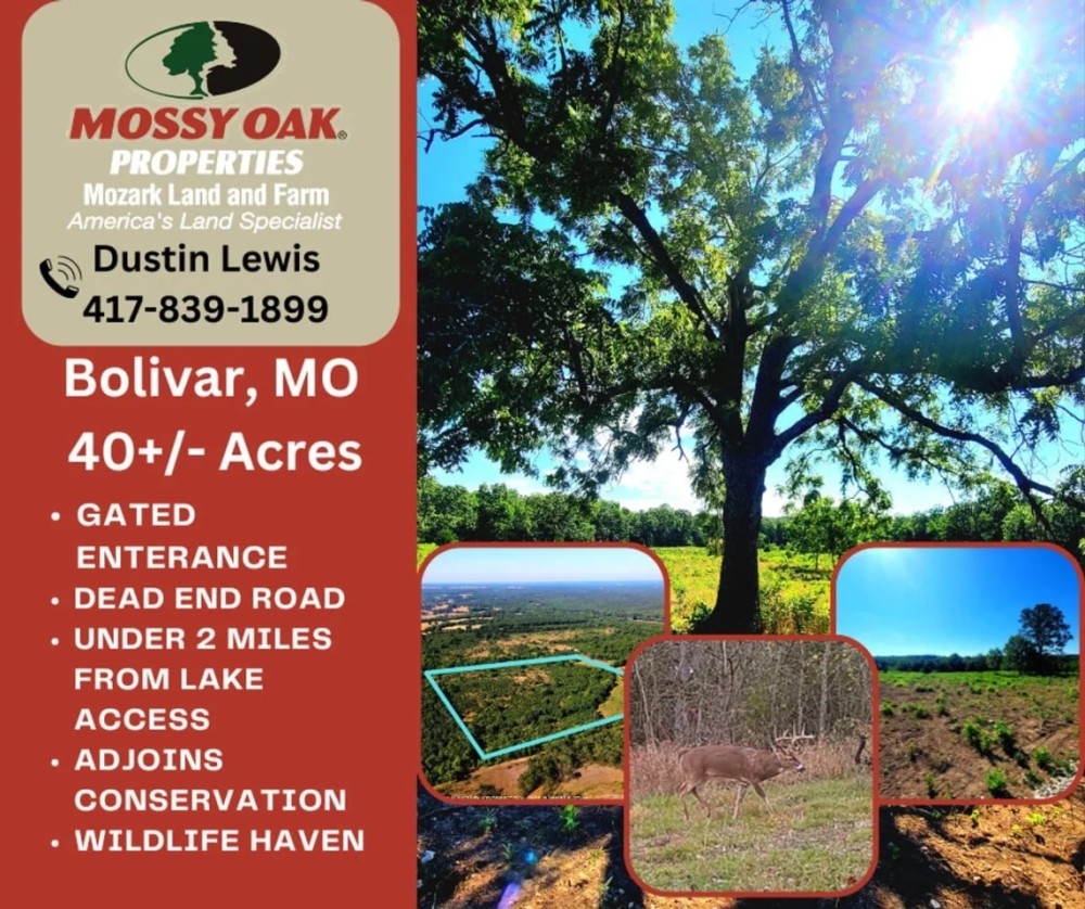 Bolivar property near Pomme De Terre Lake featured image