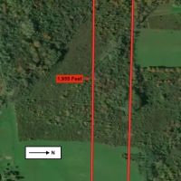 15 acres Hunting Land and Building Lot in Ripley NY Johnson Rd images 2