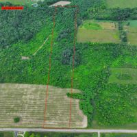 15 acres Hunting Land and Building Lot in Ripley NY Johnson Rd images 4