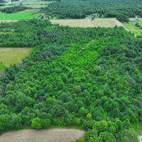 15 acres Hunting Land and Building Lot in Ripley NY Johnson Rd images 5