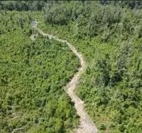 115 Acres in Franklin County in McCall Creek MS images 4