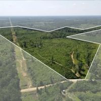 115 Acres in Franklin County in McCall Creek MS images 5