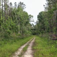 Tickfaw Gravel and Timber images 4