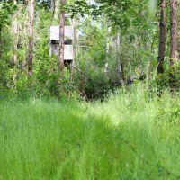 Tickfaw Gravel and Timber images 5