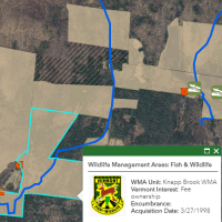 Knapp Brook WMA Covered area of 1,272 acres for hunting Bear in Windsor, VT