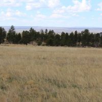 Perino Ranch images 5