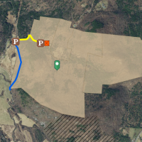 656 Acres of Little Ascutney WMA for Hunting Turkey & Deer in Windsor, VT