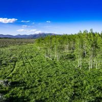 Ice House Creek Ranch images 5