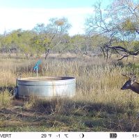 Small High-Fence opportunity images 3