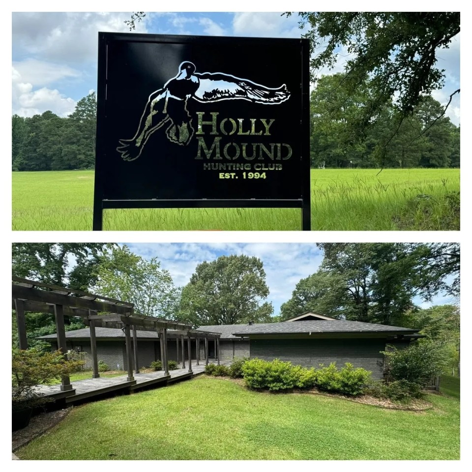 Holly Mound Green Timber Duck Hunting Lafayette County AR featured image