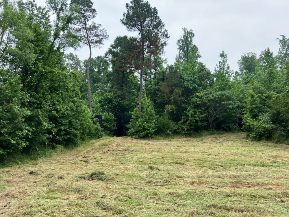 MS Claiborne 47 acres Hunting Land for Sale