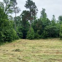 MS - Claiborne 47 acres -