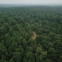 MS - Claiborne 47 acres - images 2