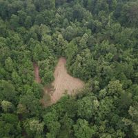 MS - Claiborne 47 acres - images 3