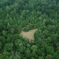 MS - Claiborne 47 acres - images 4