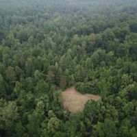 MS - Claiborne 47 acres - images 5